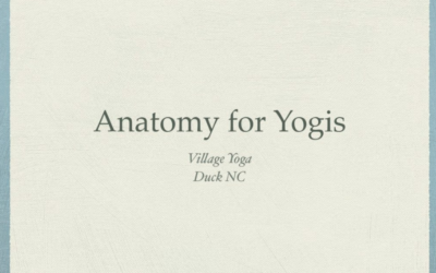 Anatomy for Yogis