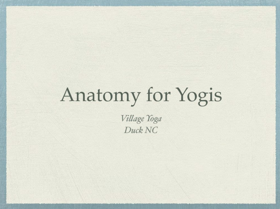 Anatomy for Yogis